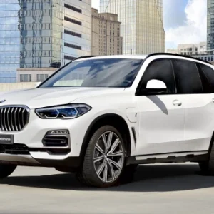 p90321838_highres_the-new-bmw-x5-xdriv.700x360.q90 (1)